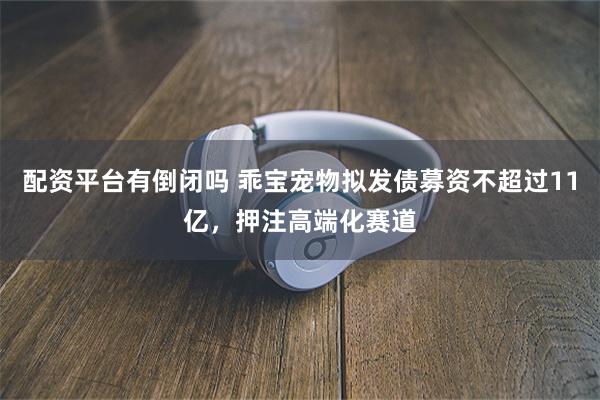 配资平台有倒闭吗 乖宝宠物拟发债募资不超过11亿，押注高端化赛道