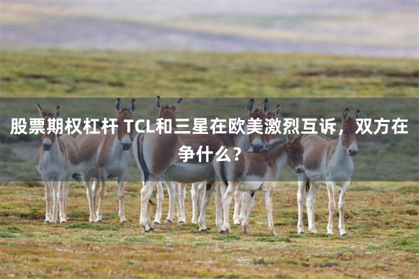 股票期权杠杆 TCL和三星在欧美激烈互诉，双方在争什么？